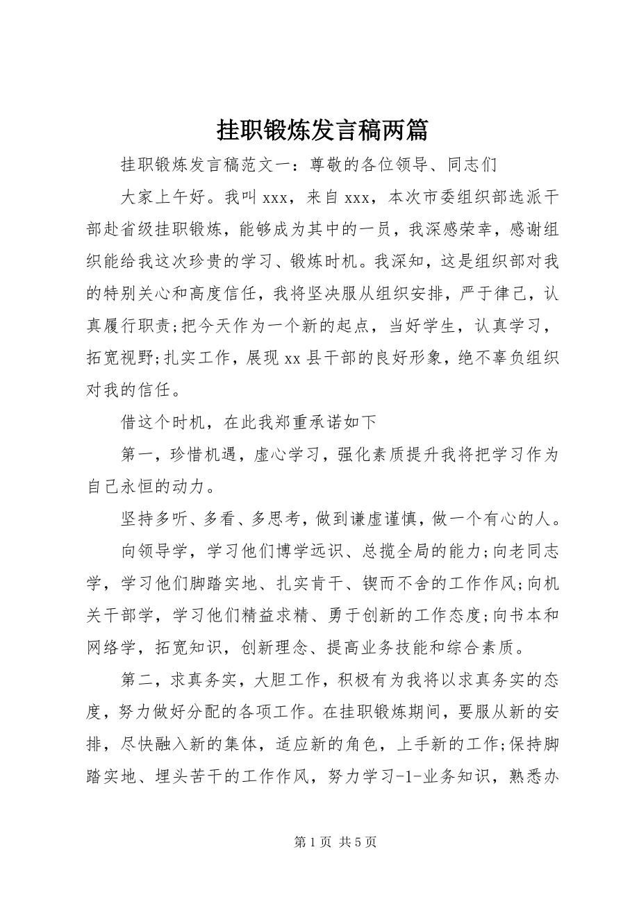 2023年挂职锻炼讲话稿两篇.docx_第1页