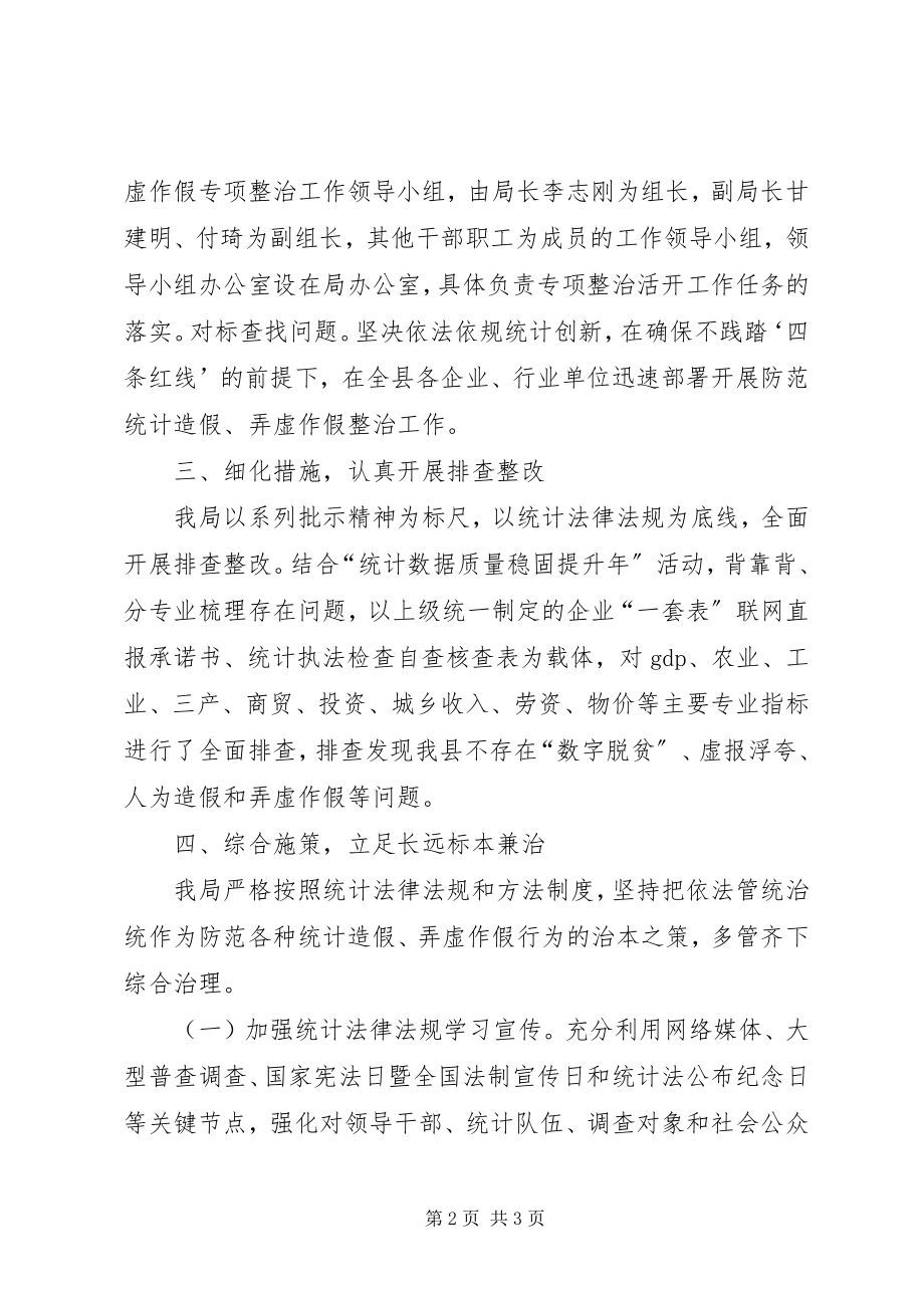 2023年防范统计造假工作总结新编.docx_第2页