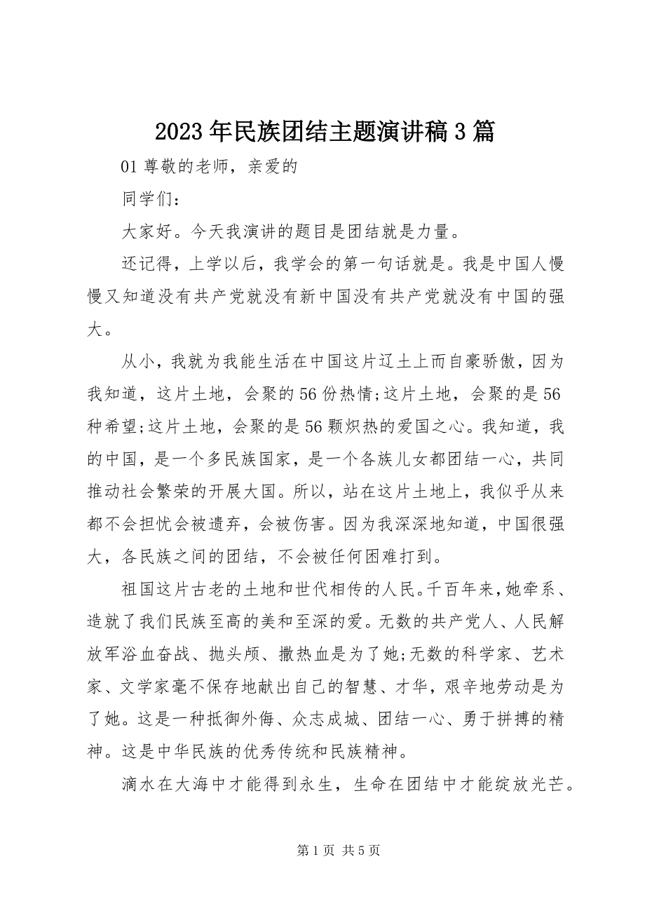 2023年民族团结主题演讲稿3篇.docx_第1页