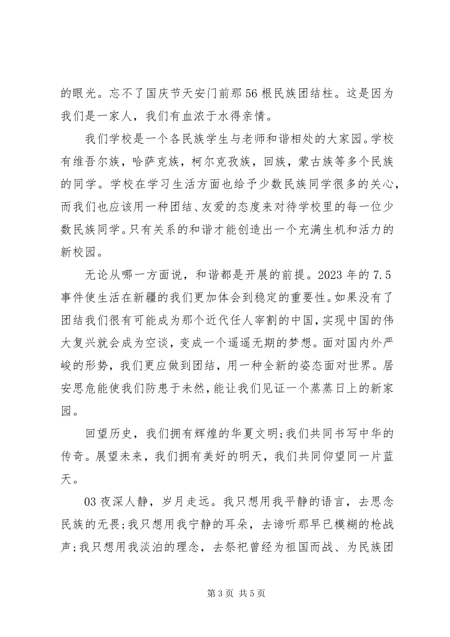 2023年民族团结主题演讲稿3篇.docx_第3页