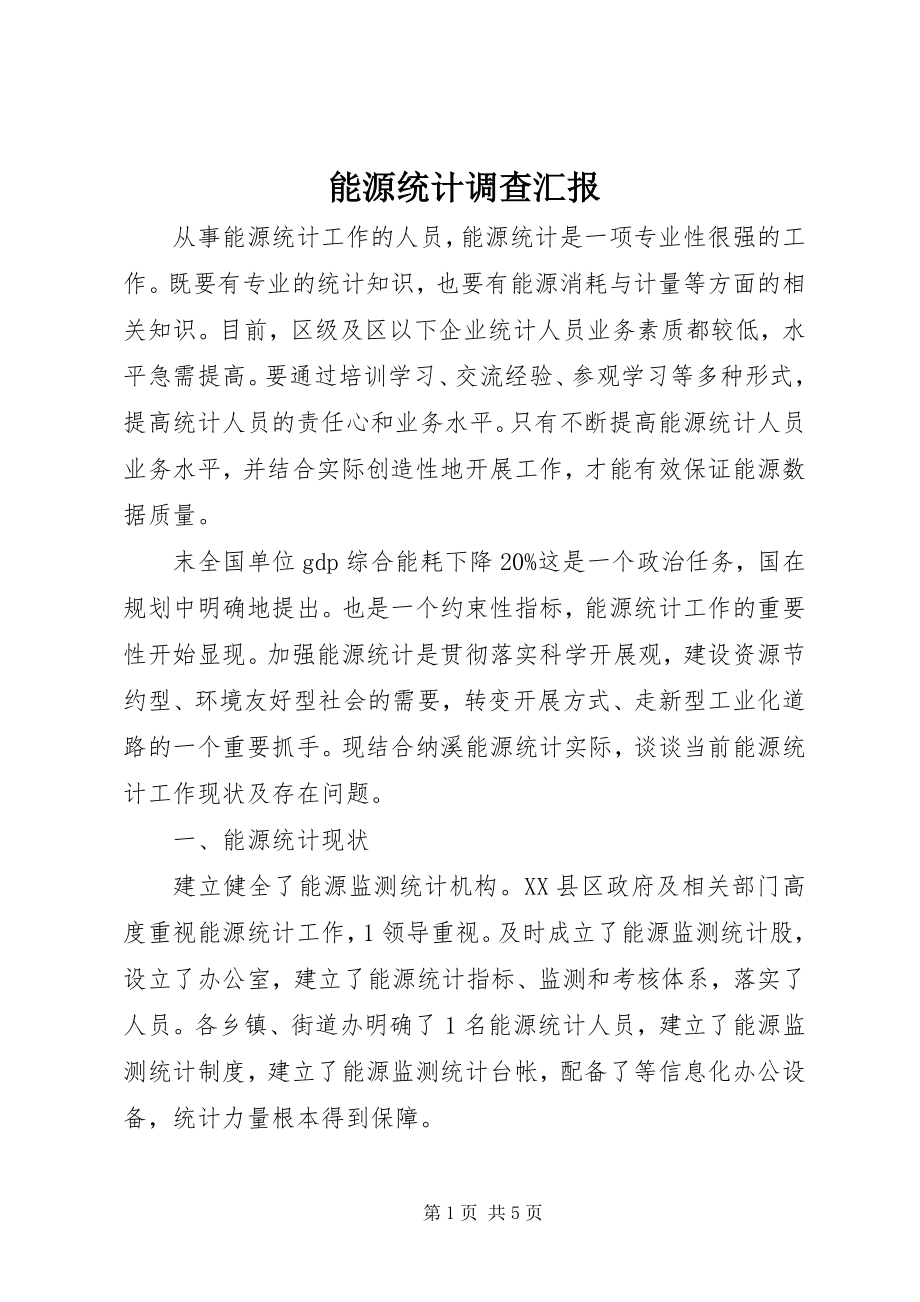 2023年能源统计调查汇报.docx_第1页