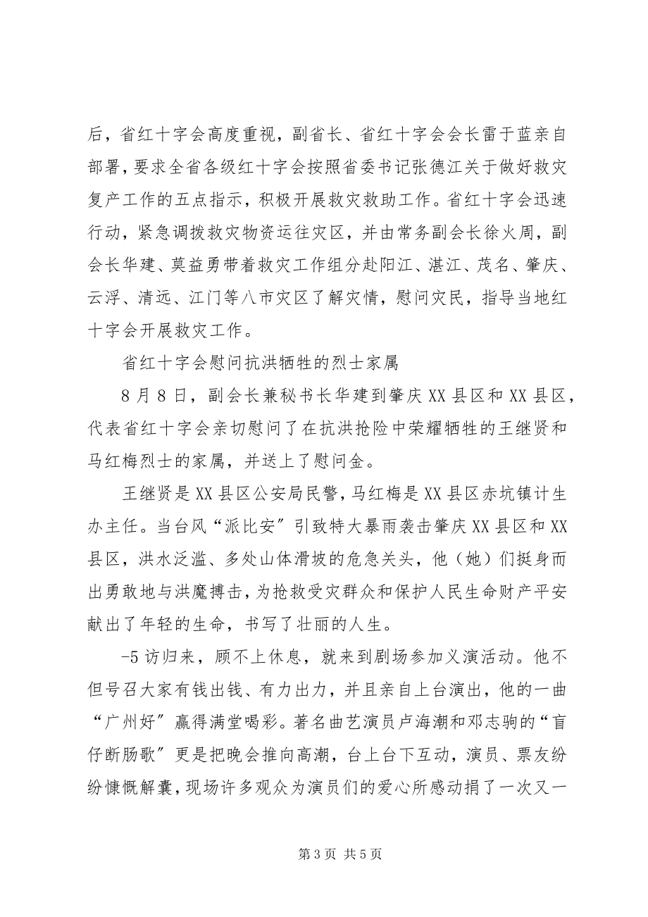 2023年XX省红十字会新编.docx_第3页