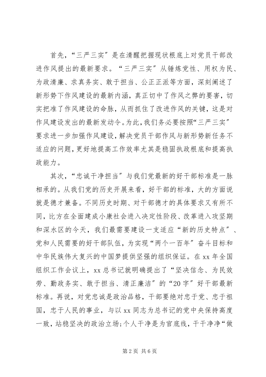 2023年三严三实和忠诚干净担当专题活动的心得体会.docx_第2页