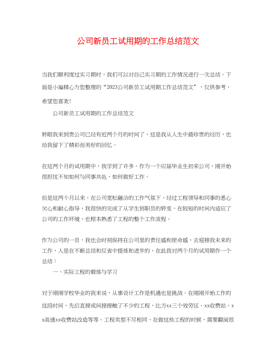 2023年公司新员工试用期的工作总结.docx_第1页