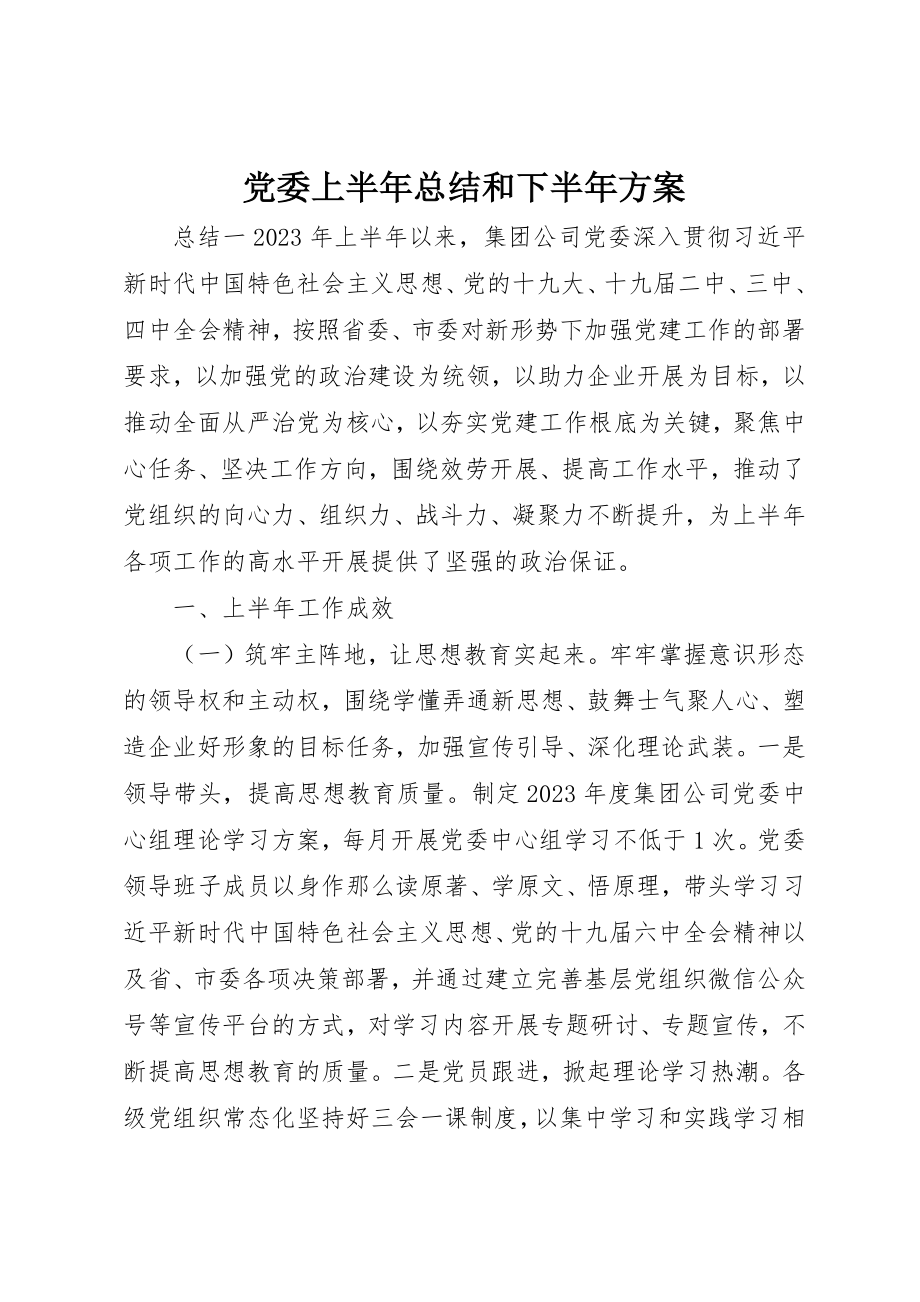 2023年党委上半年总结和下半年计划.docx_第1页