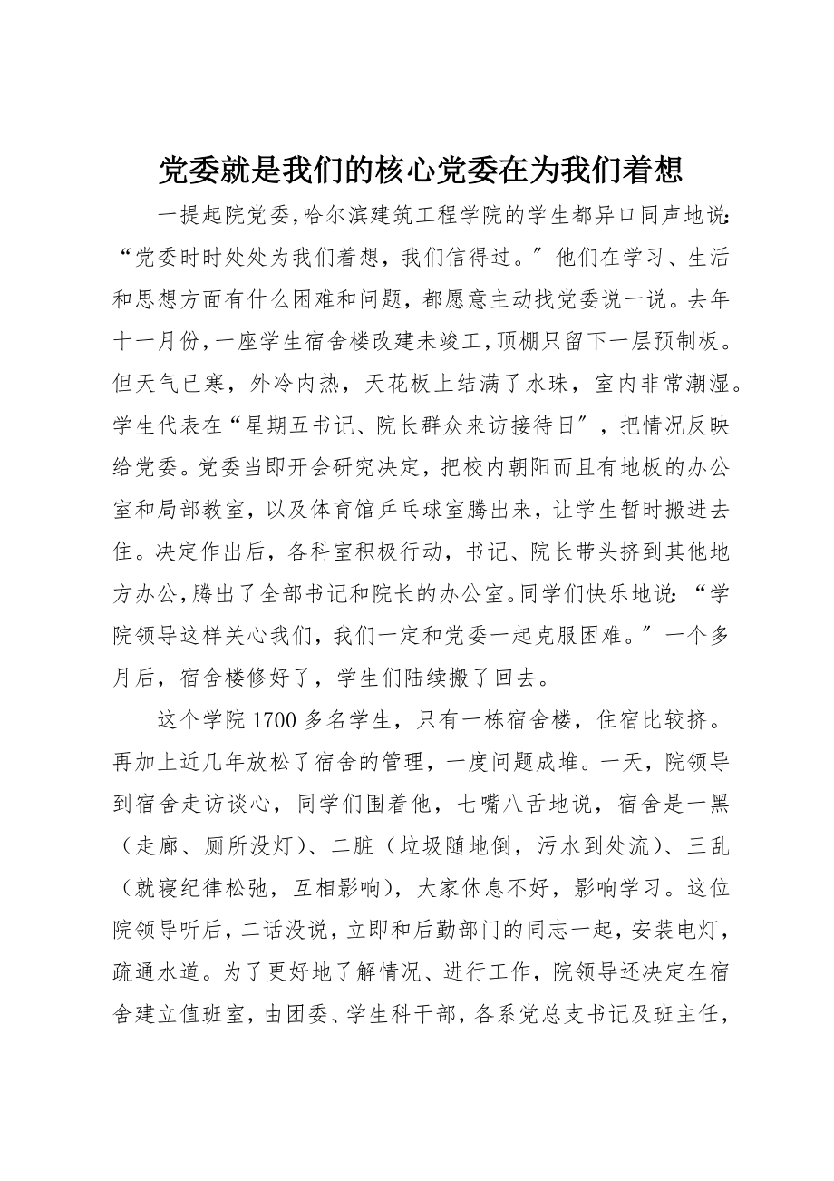 2023年党委就是我们的核心党委在为我们着想.docx_第1页