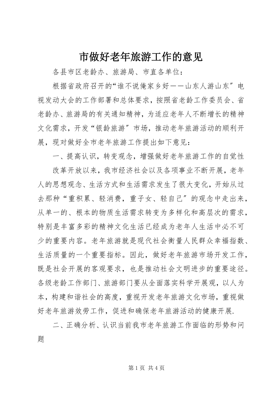 2023年市做好老年旅游工作的意见.docx_第1页