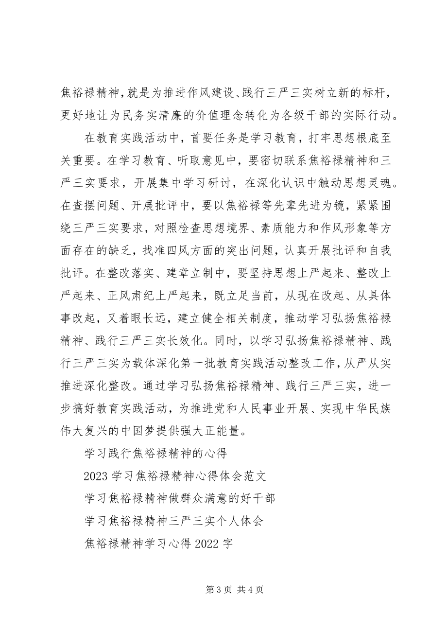 2023年学习弘扬焦裕禄精神自觉践行“三严三实”心得体会.docx_第3页