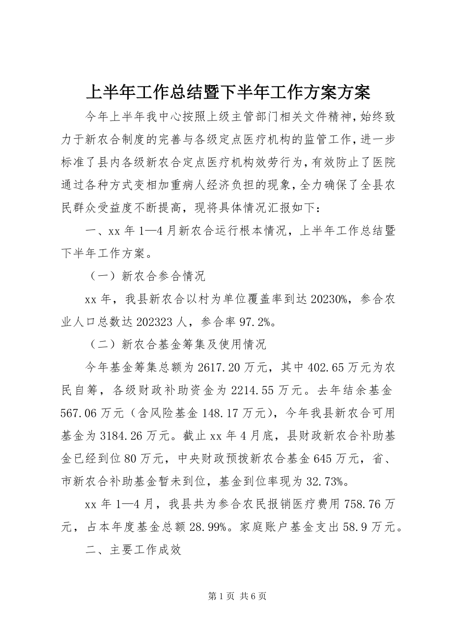 2023年上半年工作总结暨下半年工作计划计划.docx_第1页