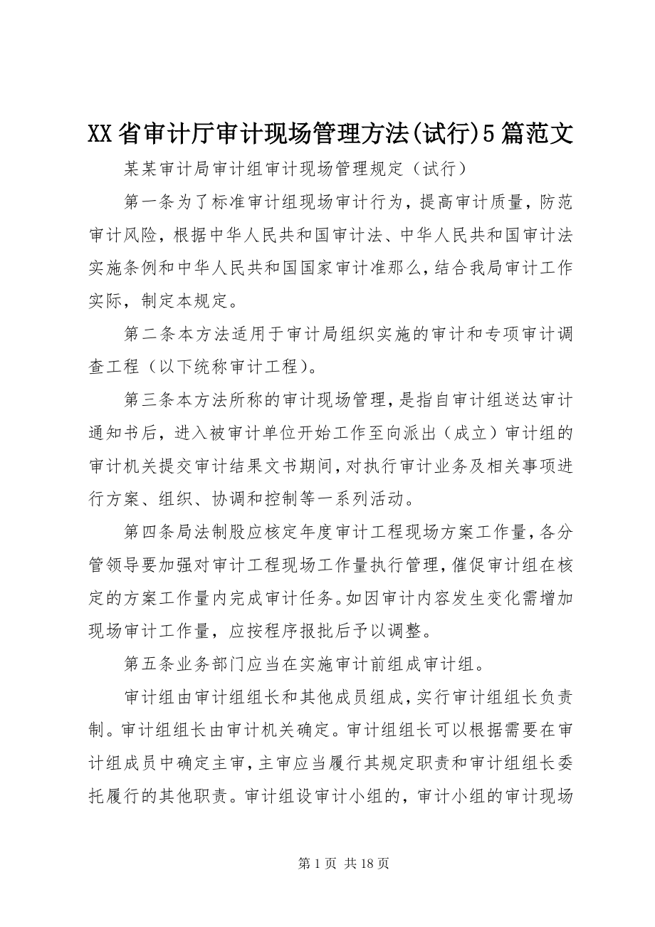 2023年XX省审计厅审计现场管理办法试行5篇新编.docx_第1页