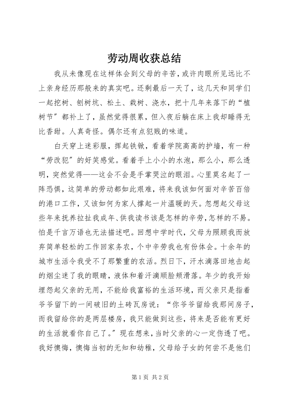 2023年劳动周收获总结.docx_第1页