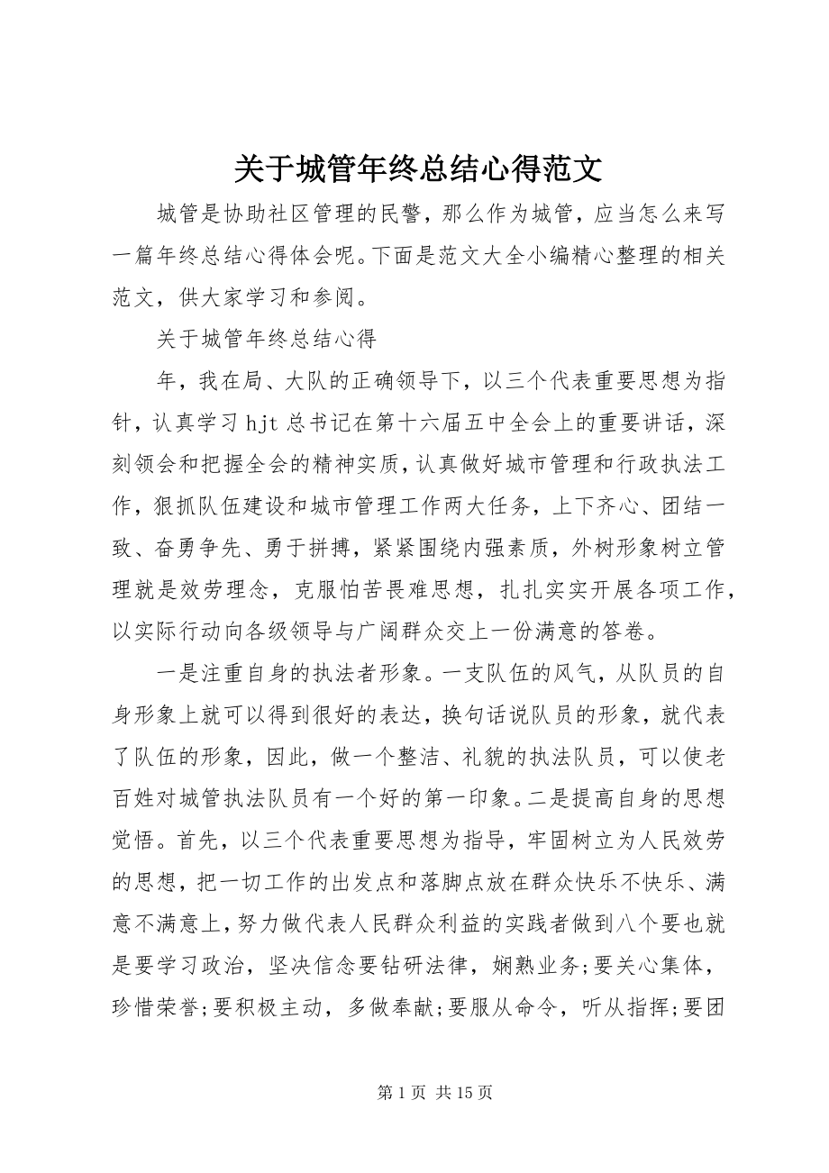 2023年城管年终总结心得2.docx_第1页