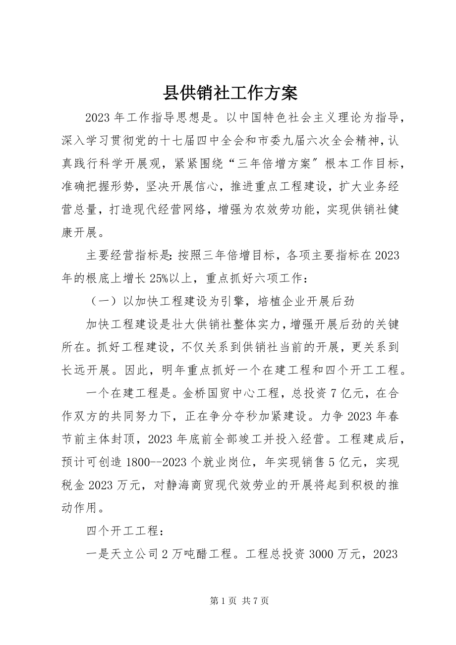 2023年县供销社工作计划.docx_第1页