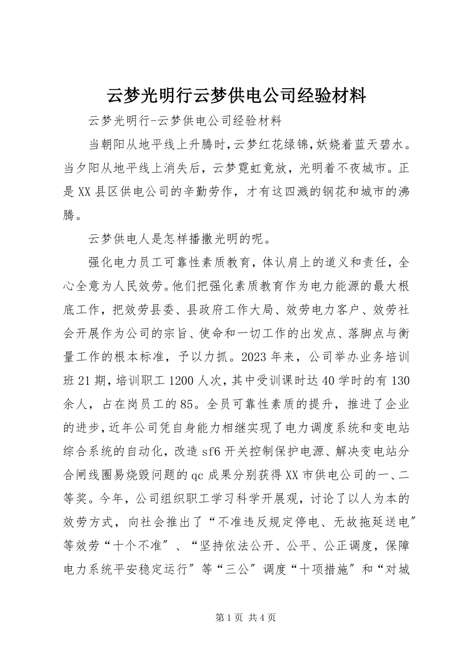 2023年云梦光明行云梦供电公司经验材料.docx_第1页