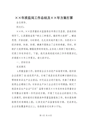 2023年质监局工作总结及计划打算.docx