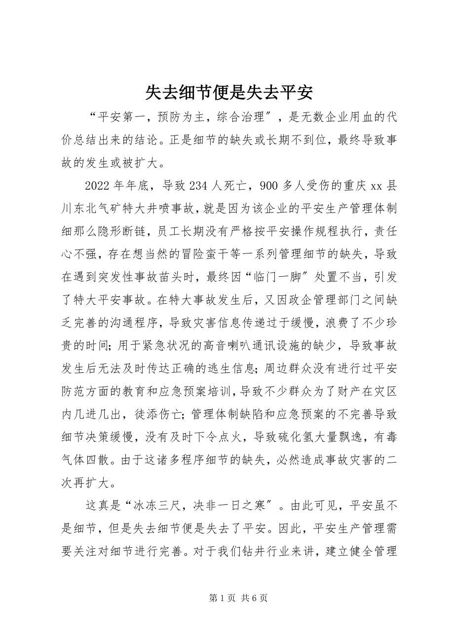 2023年失去细节便是失去安全.docx_第1页