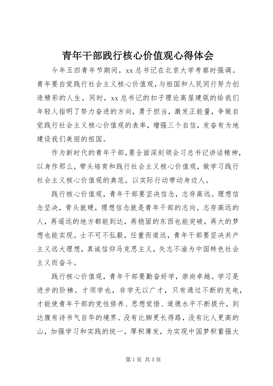 2023年青年干部践行核心价值观心得体会.docx_第1页