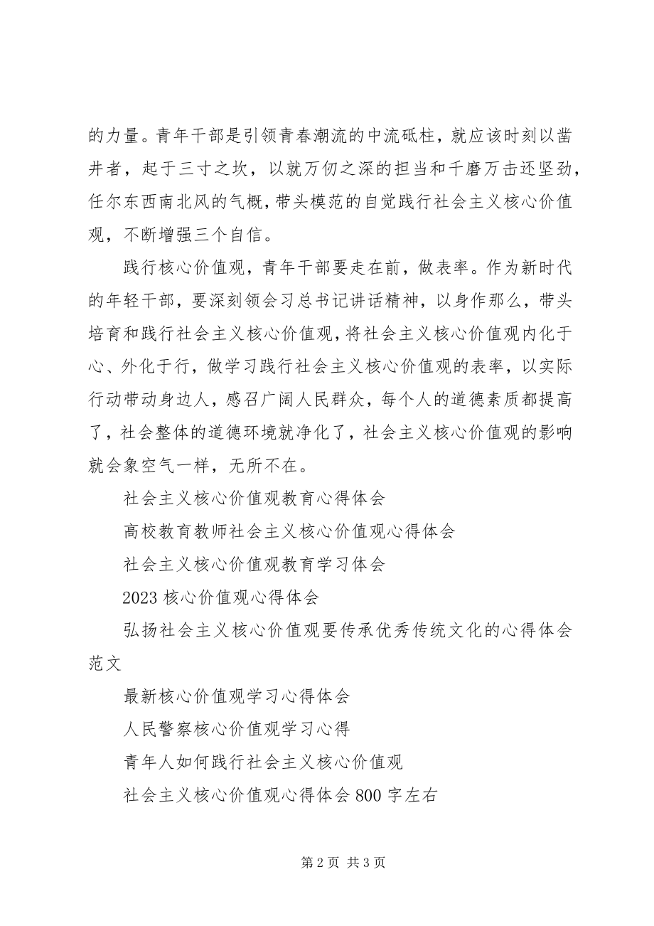 2023年青年干部践行核心价值观心得体会.docx_第2页