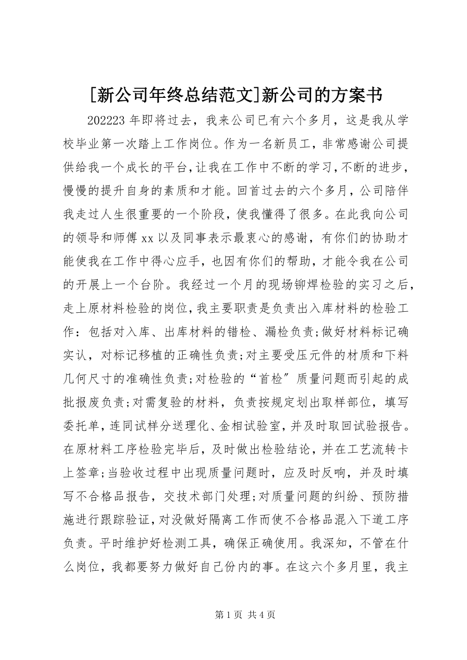 2023年新公司年终总结新公司的计划书新编.docx_第1页