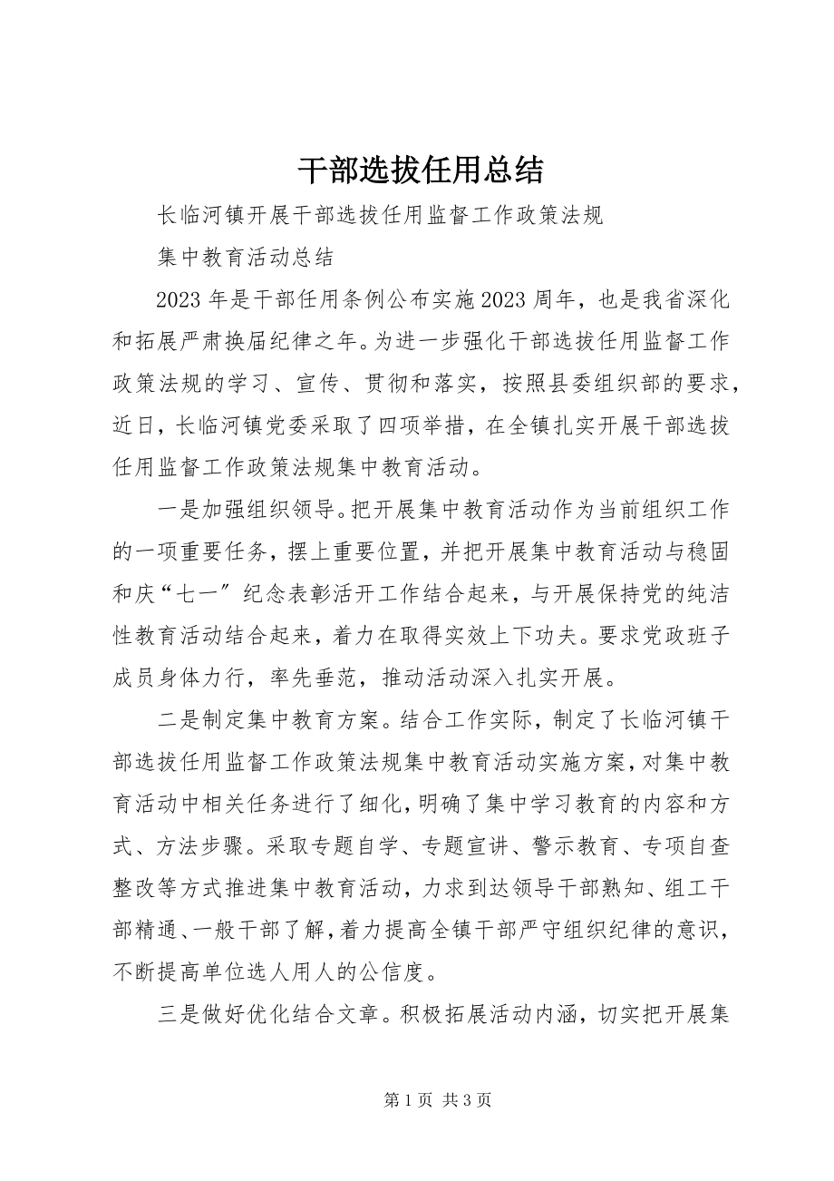 2023年干部选拔任用总结.docx_第1页