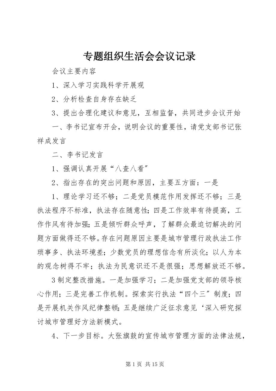 2023年专题组织生活会会议记录.docx_第1页