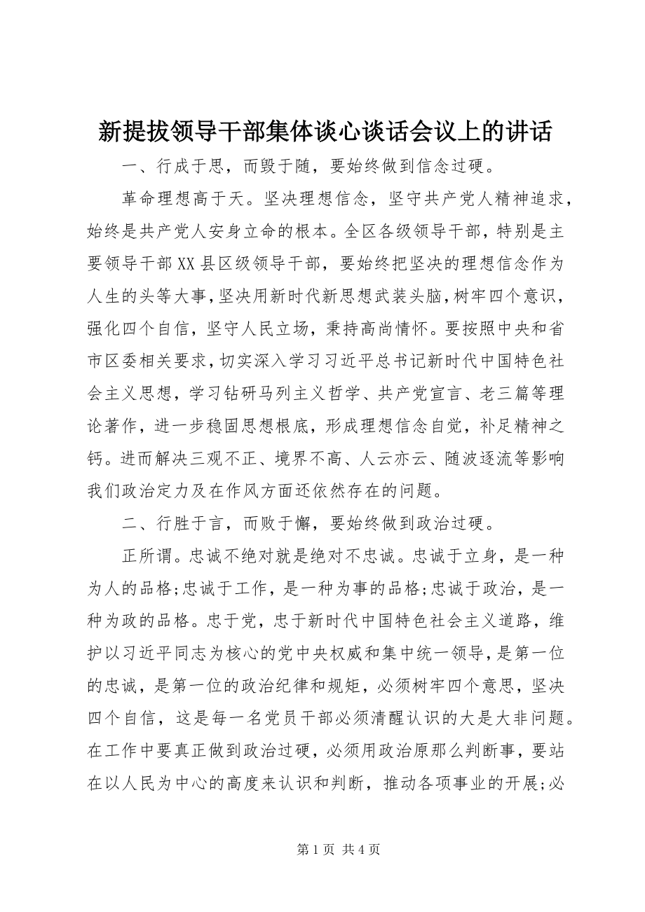 2023年新提拔领导干部集体谈心谈话会议上的致辞.docx_第1页