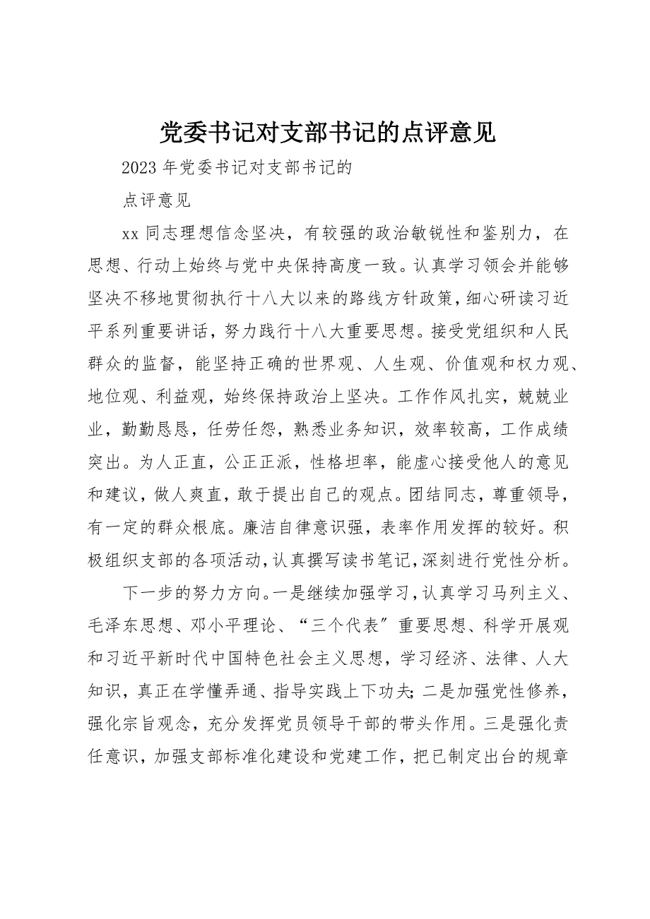 2023年党委书记对支部书记的点评意见.docx_第1页