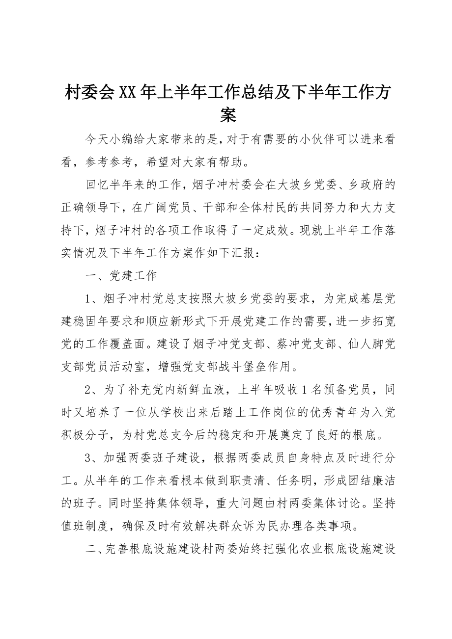 2023年村委会某年上半年工作总结及下半年工作计划新编.docx_第1页