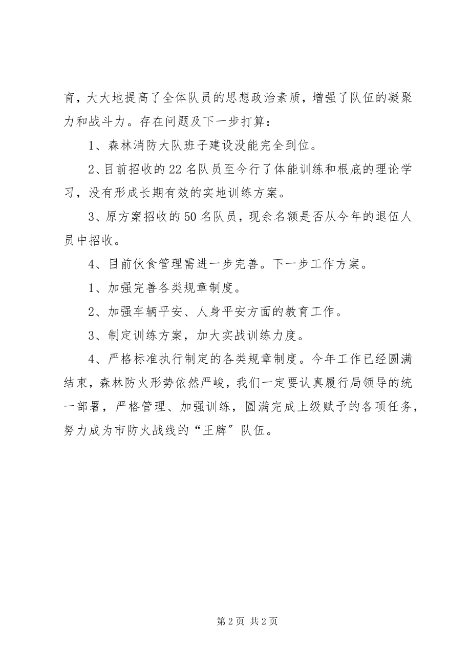 2023年森林消防大队工作总结.docx_第2页