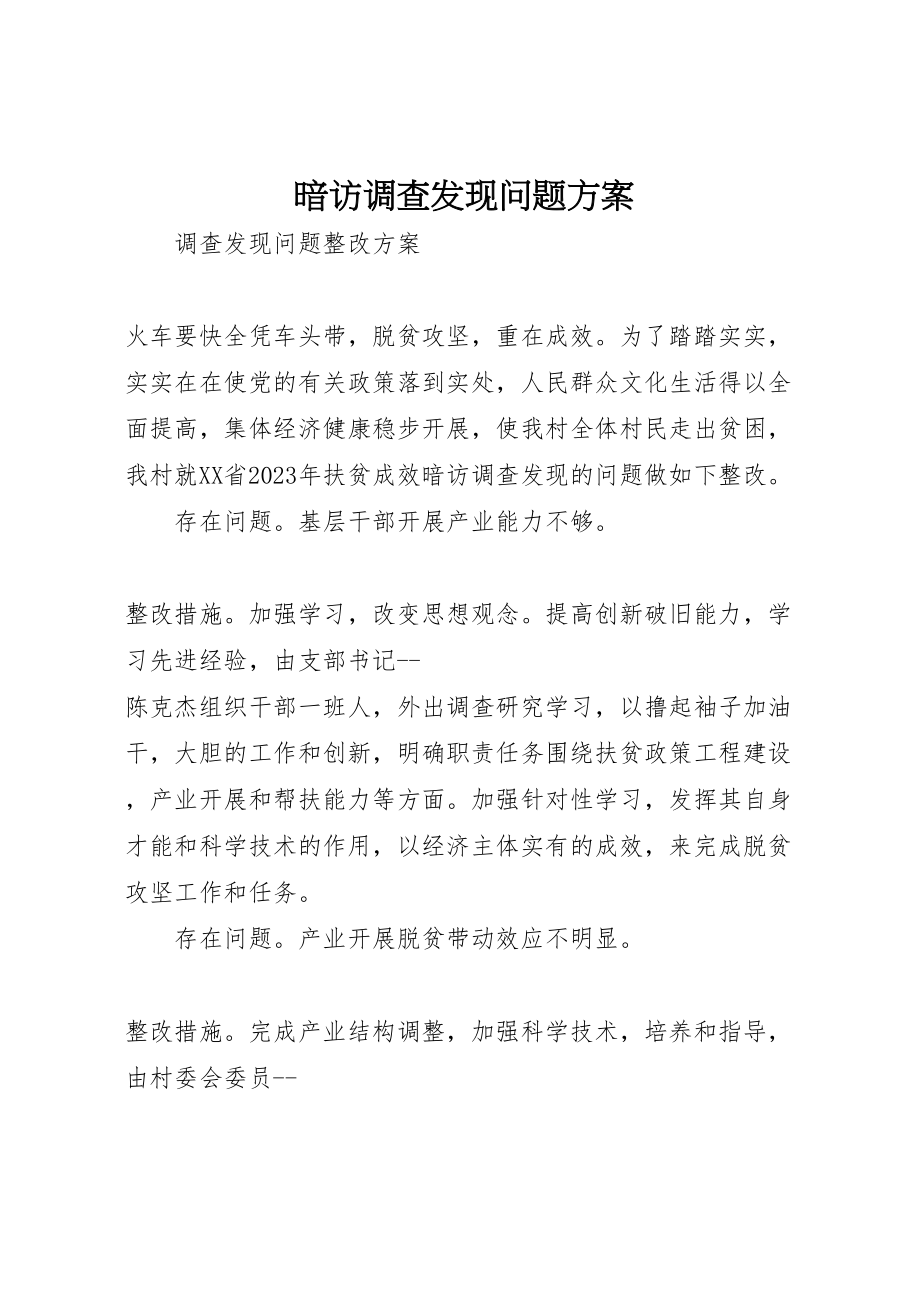 2023年暗访调查发现问题方案.doc_第1页