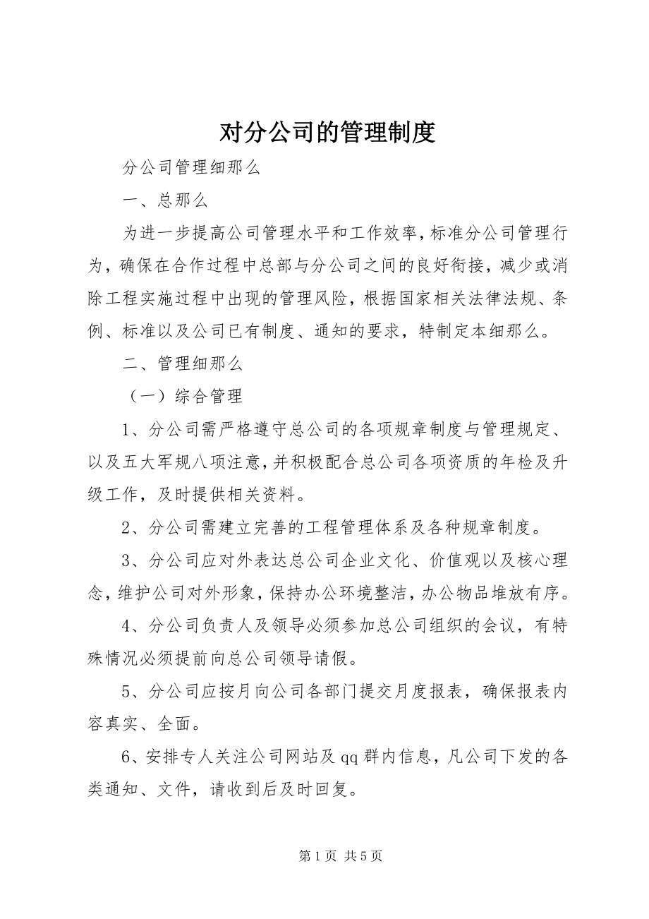 2023年对分公司的管理制度.docx_第1页