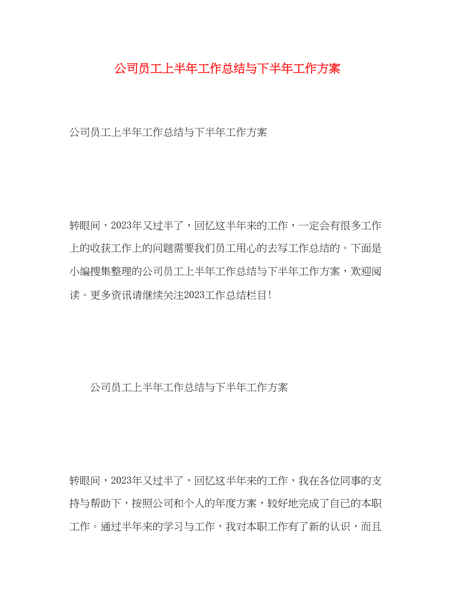 2023年公司员工上半工作总结与下半工作计划.docx_第1页