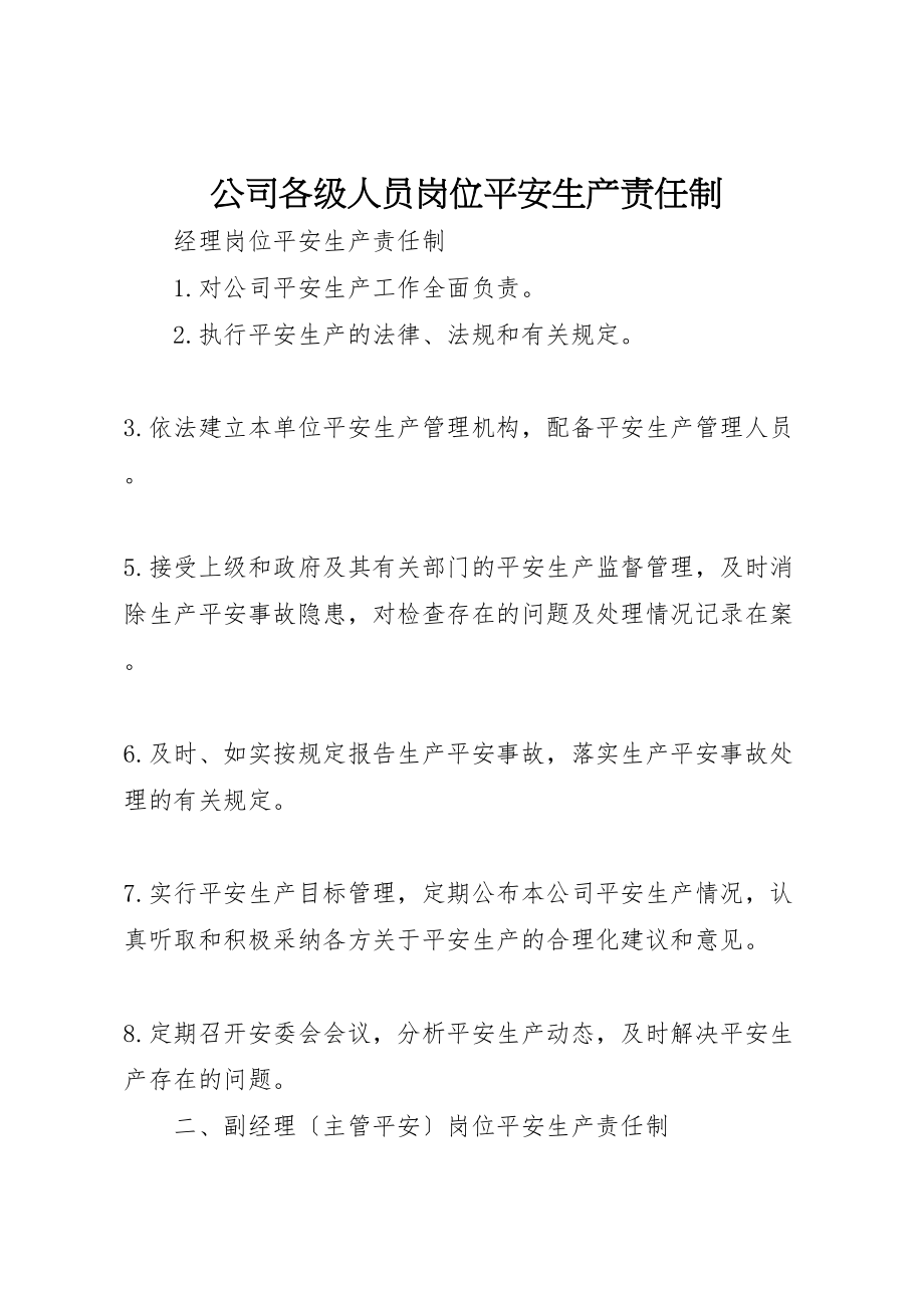 2023年公司各级人员岗位安全生产责任制.doc_第1页