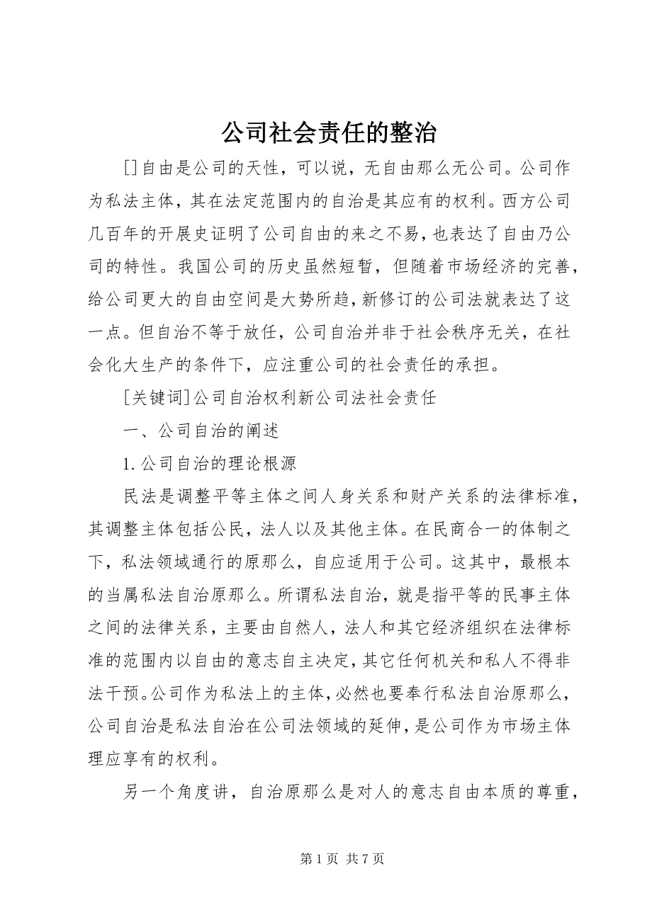 2023年公司社会责任的整治.docx_第1页