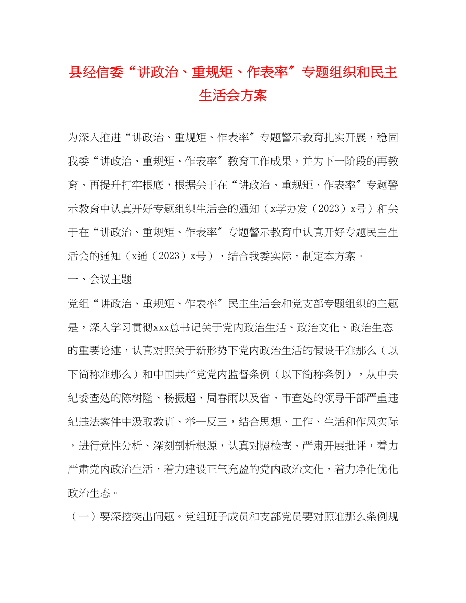 2023年县经信委“讲政治、重规矩、作表率”专题组织和民主生活会方案2.docx_第1页