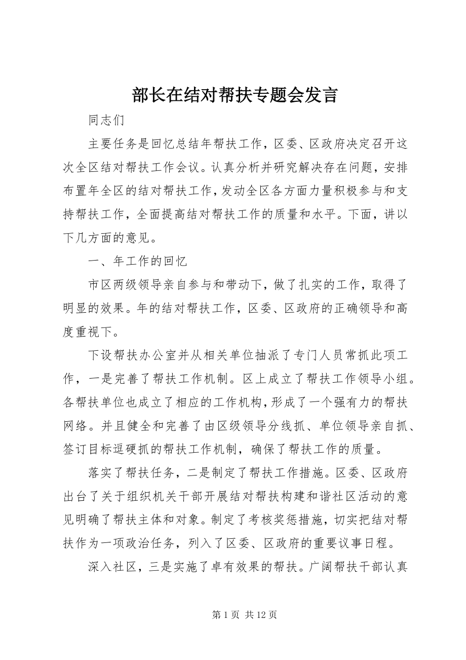 2023年部长在结对帮扶专题会讲话.docx_第1页