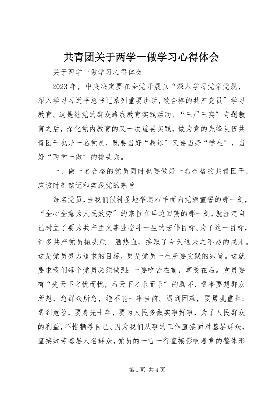 2023年共青团两学一做学习心得体会.docx_第1页