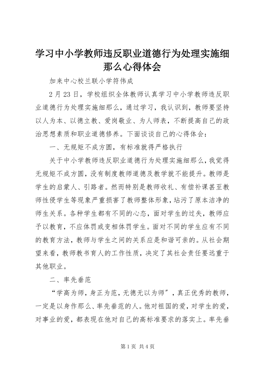 2023年学习《中小学教师违反职业道德行为处理实施细则》心得体会.docx_第1页