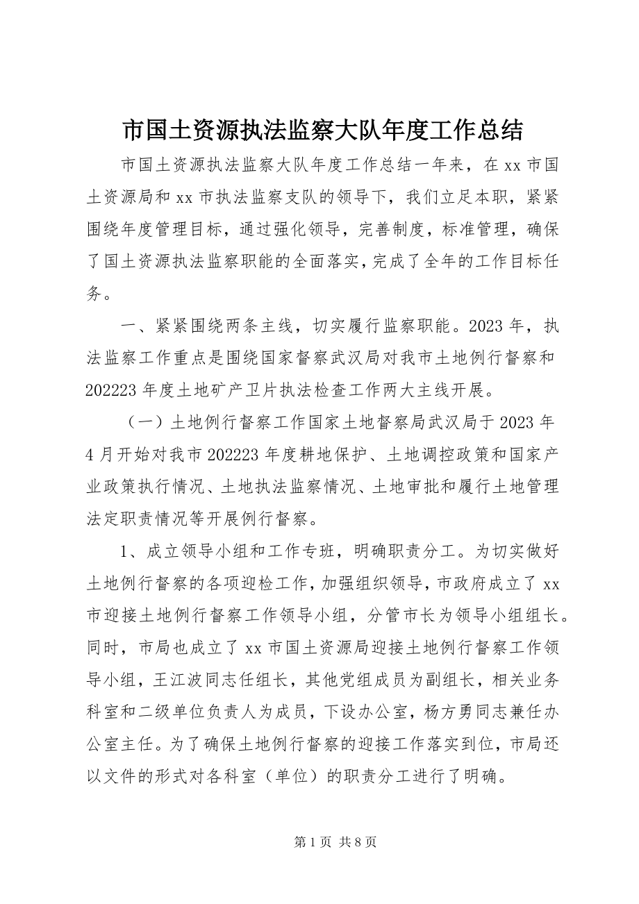 2023年市国土资源执法监察大队年度工作总结.docx_第1页