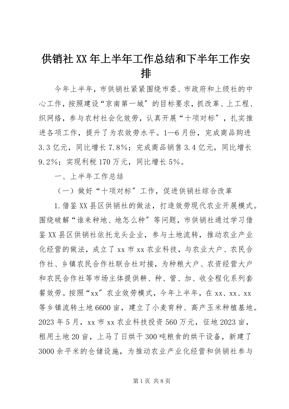 2023年供销社某年上半年工作总结和下半年工作安排.docx_第1页