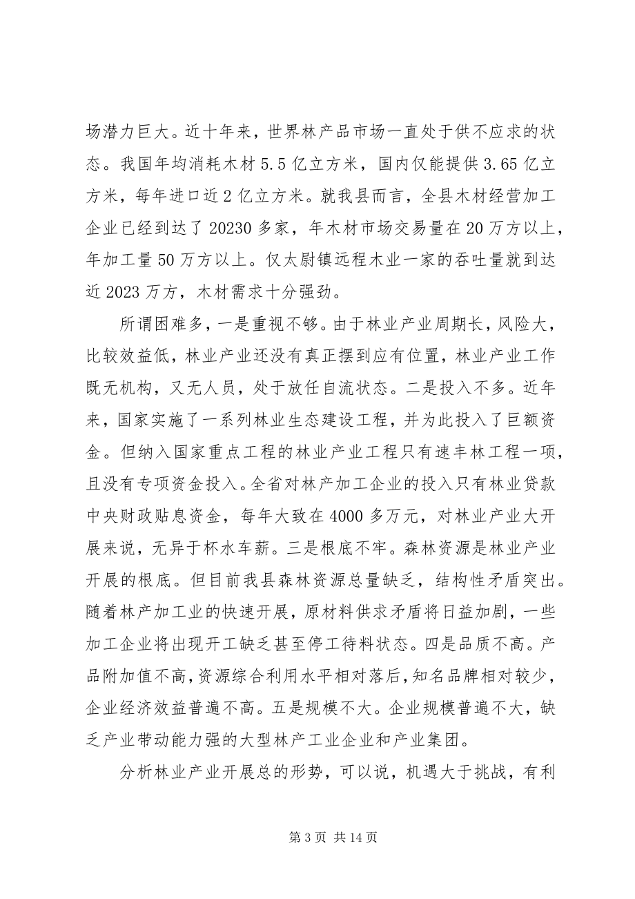 2023年副县长致辞材料.docx_第3页