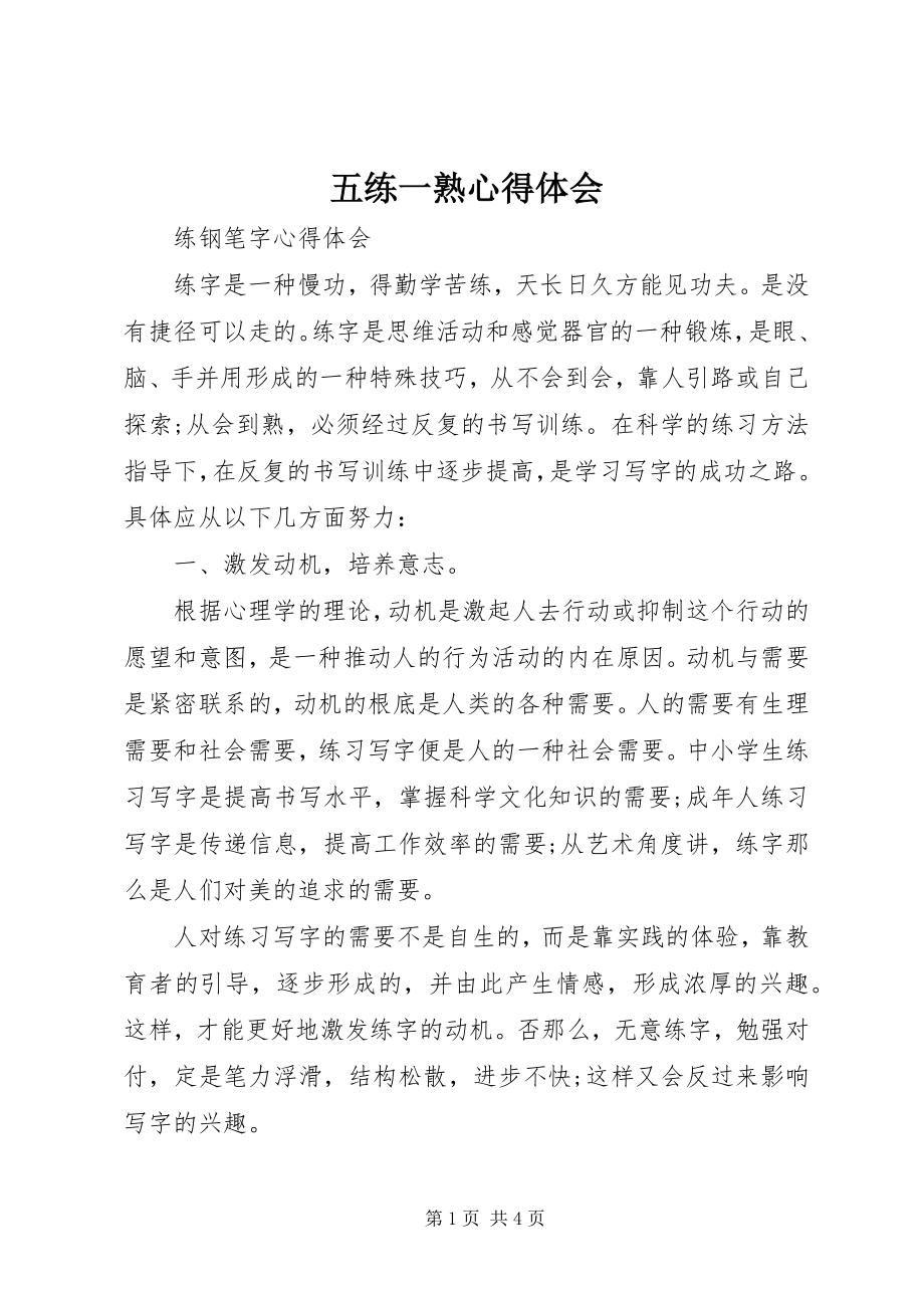 2023年五练一熟心得体会.docx_第1页