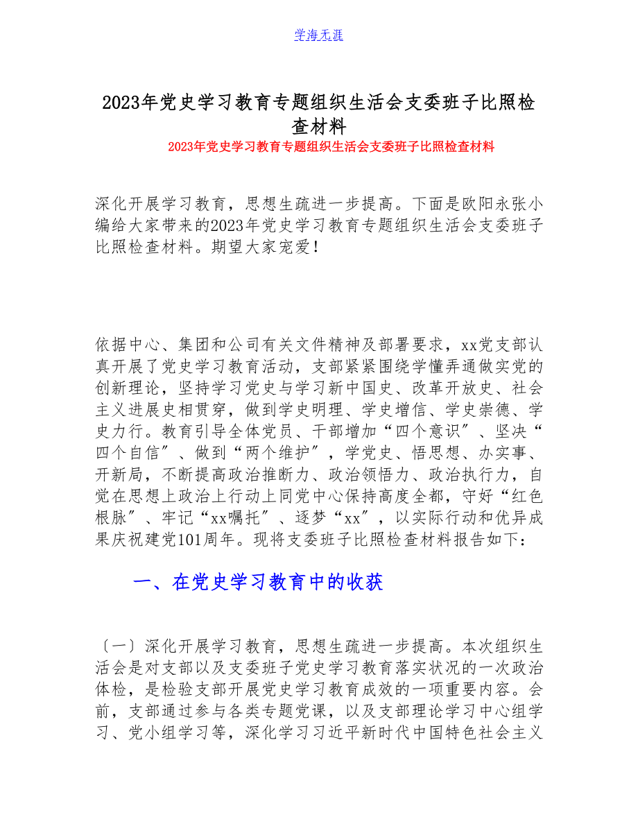 2023年党史学习教育专题组织生活会支委班子对照检查详细材料.doc_第1页