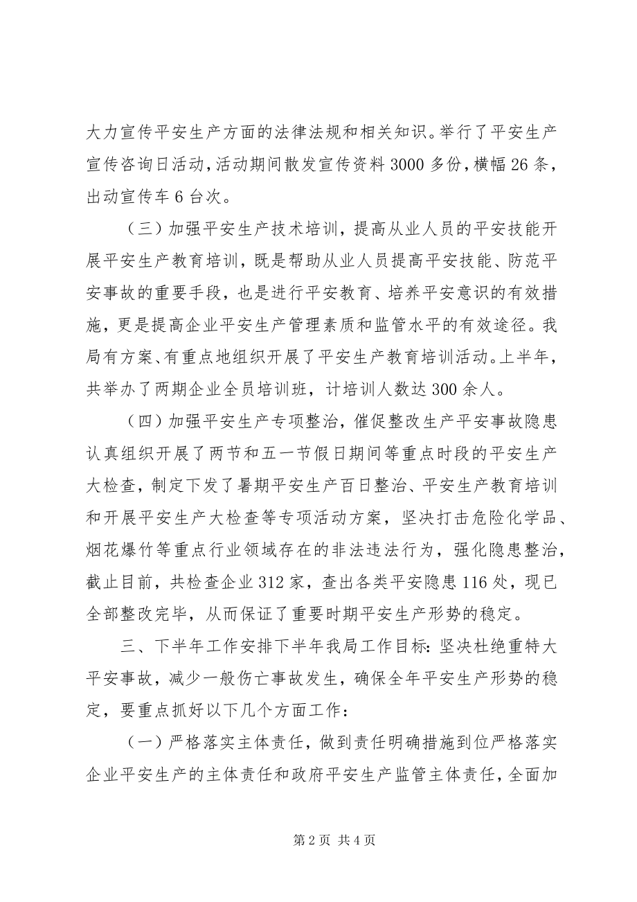 2023年安监局安全月总结新编.docx_第2页