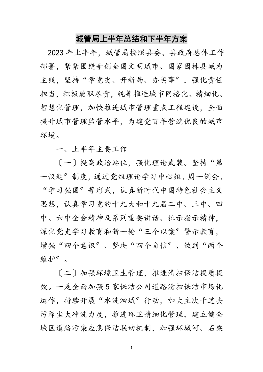 2023年城管局上半年总结和下半年计划范文.doc_第1页