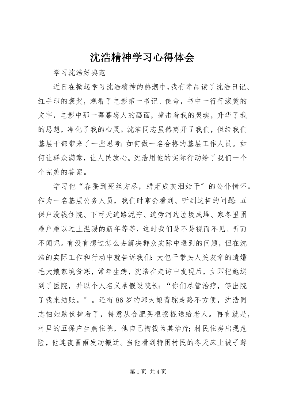 2023年沈浩精神学习心得体会.docx_第1页