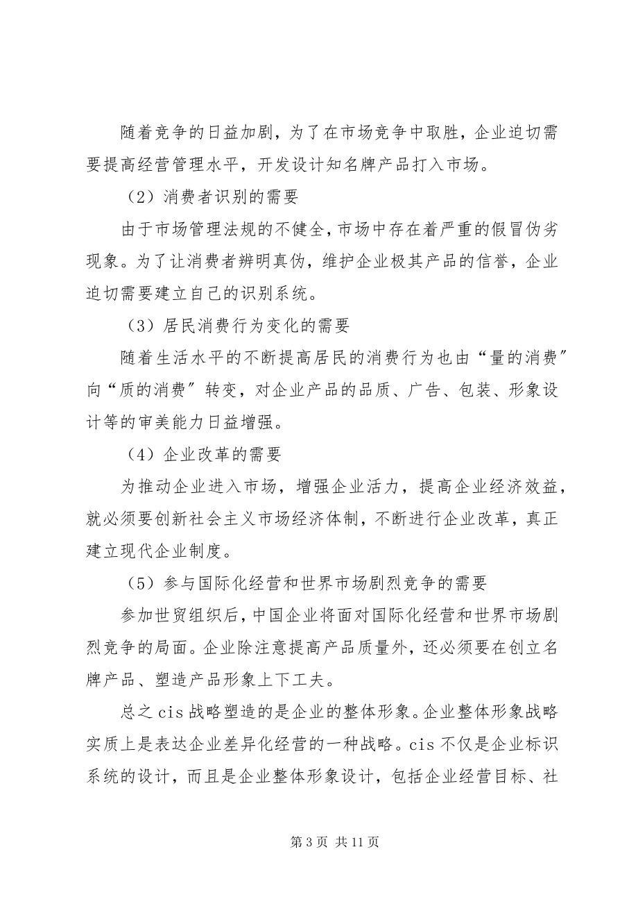 2023年企业形象策划总结.docx_第3页