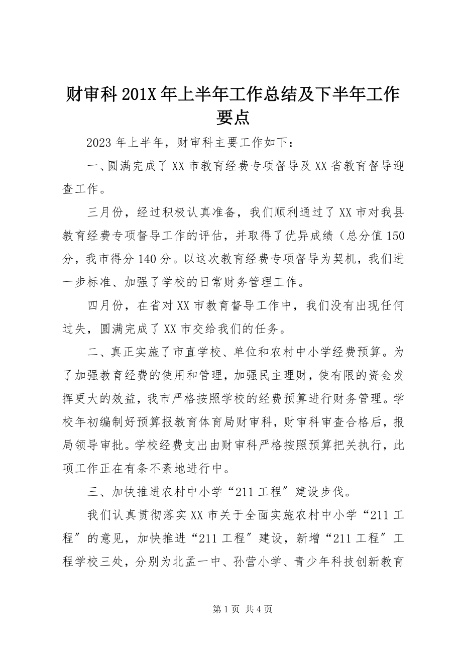 2023年财审科上半年工作总结及下半年工作要点.docx_第1页