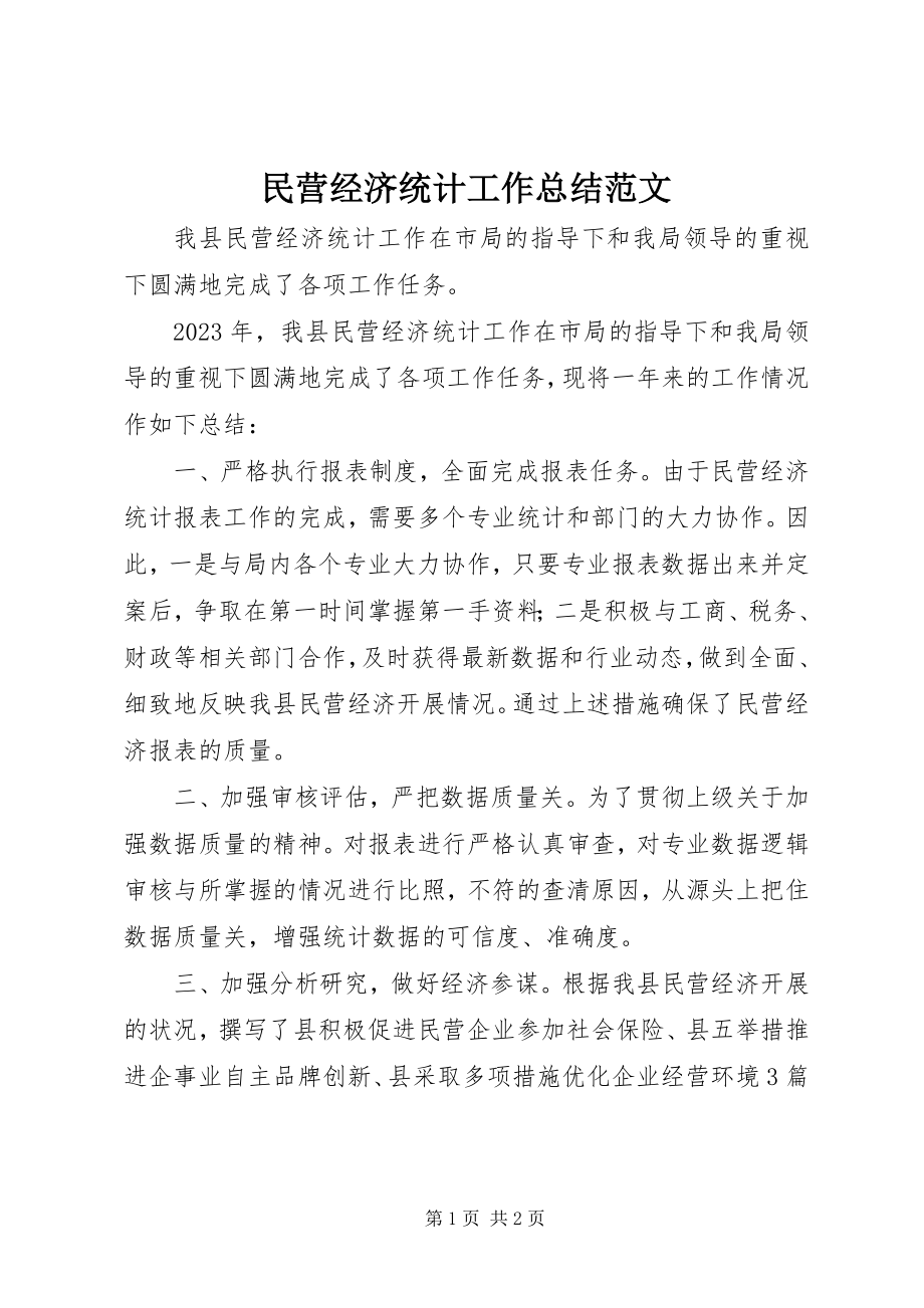 2023年民营经济统计工作总结.docx_第1页