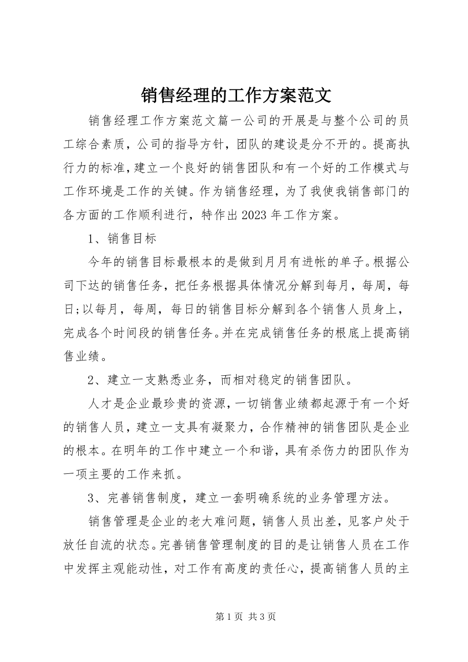 2023年销售经理的工作计划.docx_第1页